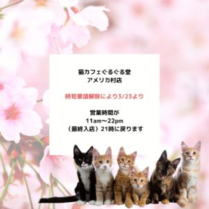 時短要請解除に伴い3/23より営業時間が22時閉店(最終入店21時)に戻ります